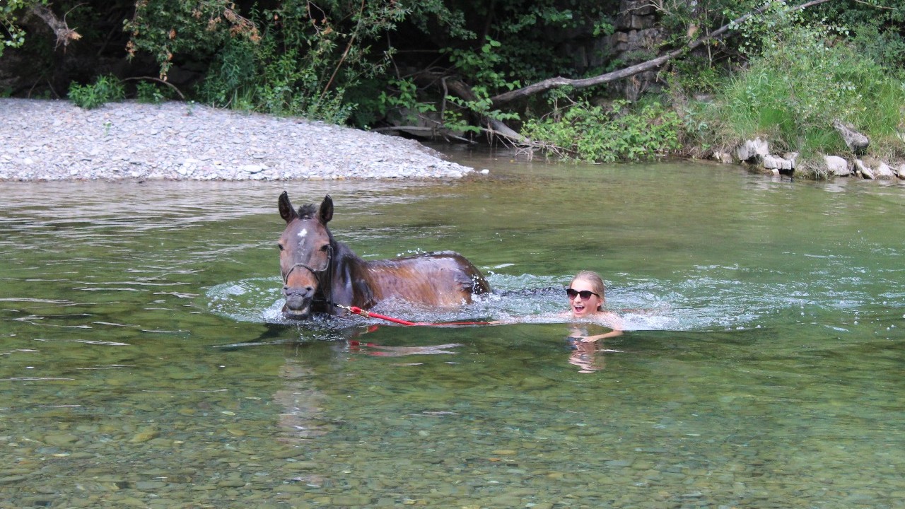 campamentos_de_verano_en_huesca_campamentos-hipicos-internacionales-con-frances