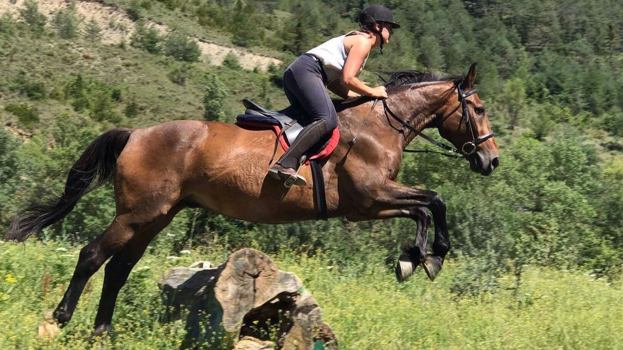 campamentos_de_verano_en_huesca_campamentos-hipicos-internacionales-con-frances