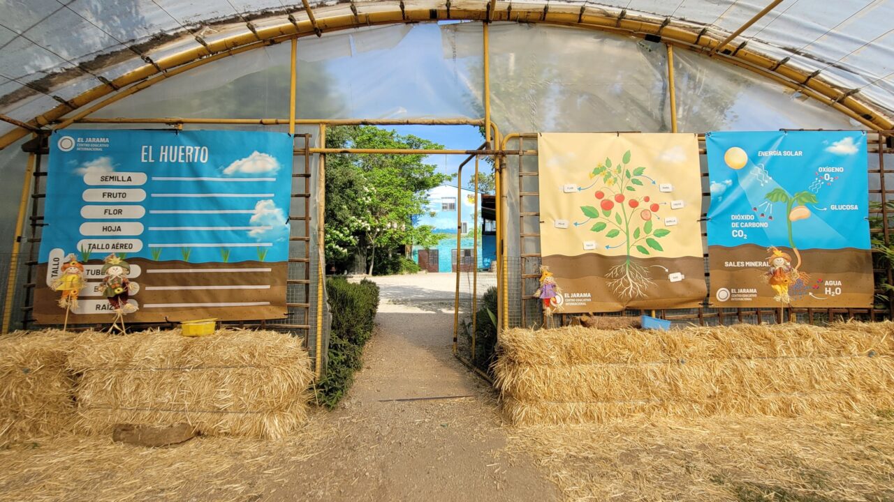 campamentos_de_verano_en_madrid_jarama-nature