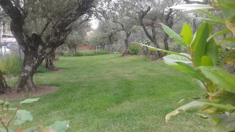 campamentos_de_verano_en_caceres_campamento-la-vera-verde