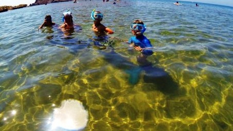 campamentos_de_verano_en_valencia_colonias-nauticas-xeraco-valencia-12-17-anos