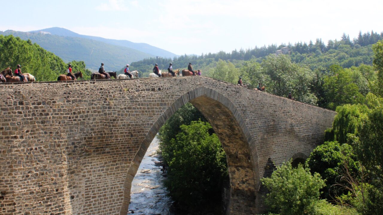 campamentos_de_verano_en_huesca_campamentos-hipicos-internacionales-con-frances
