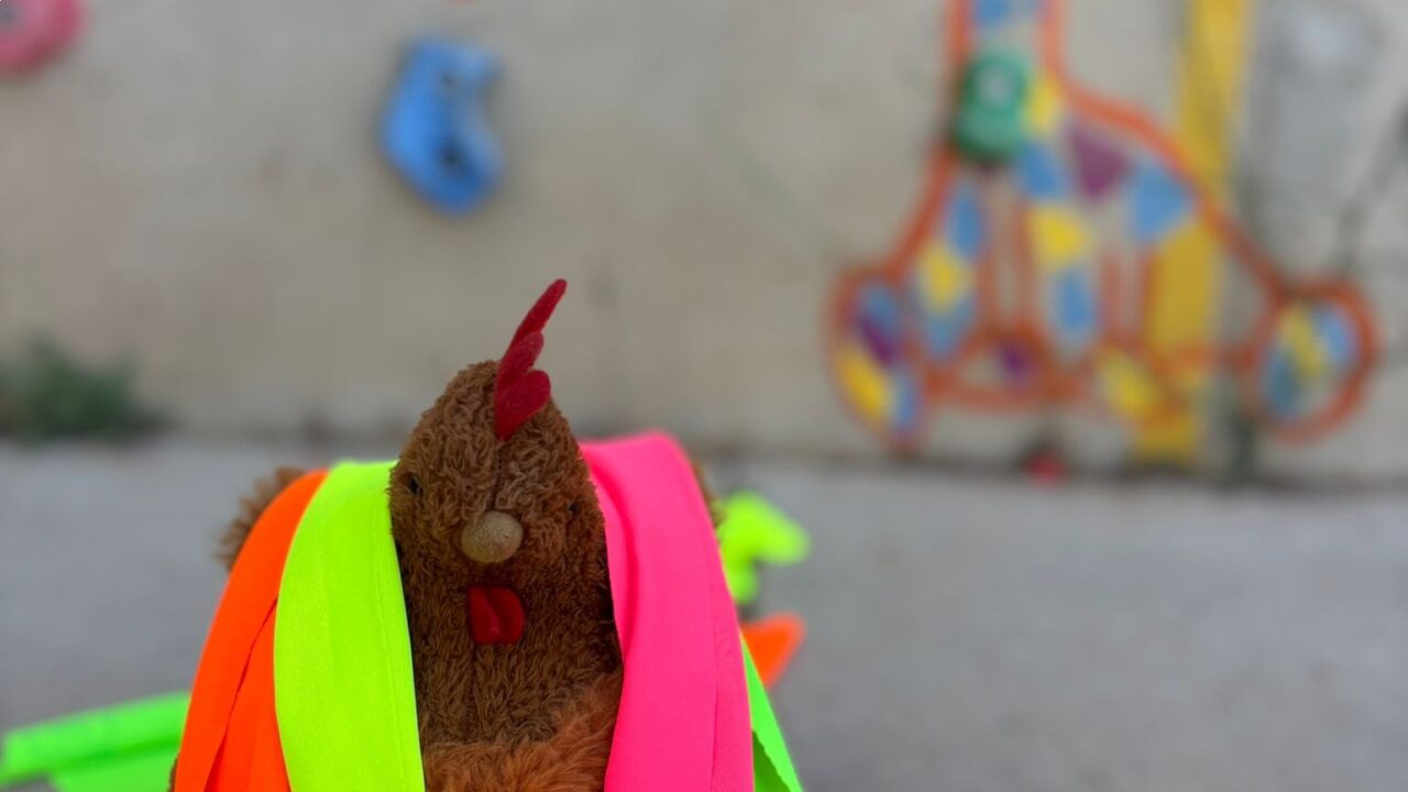 campamentos_de_verano_en_alicante_camp-pernocta-playa-capacidades-diferentes-2026