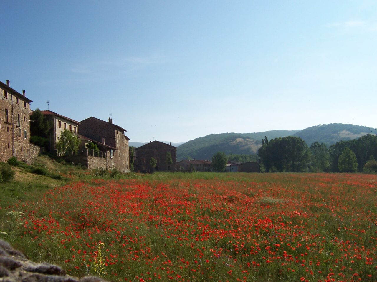 campamentos_de_verano_en_burgos_naturaleza-y-montana-barbadillo-sierra-la-demanda