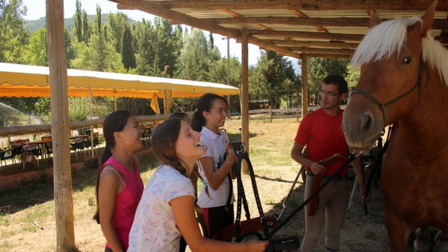 campamentos_de_verano_en_huesca_campamentos-hipicos-internacionales-con-frances