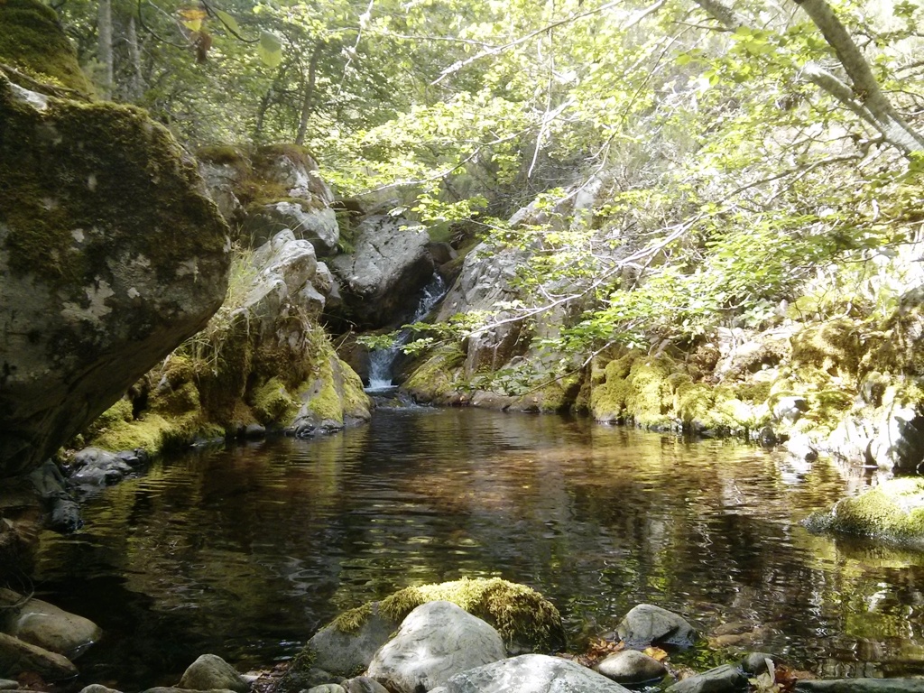 campamentos_de_verano_en_burgos_naturaleza-y-montana-barbadillo-sierra-la-demanda