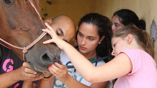campamentos_de_verano_en_huesca_campamentos-hipicos-internacionales-con-frances