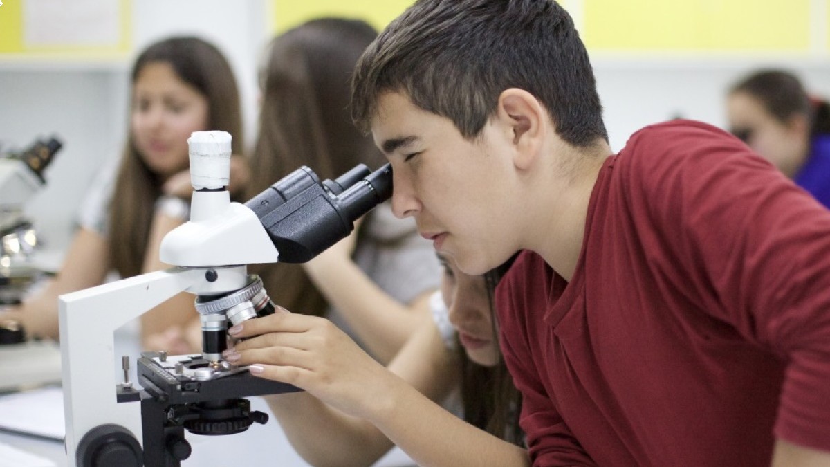 campamentos_de_verano_en_valencia_summer-camp-2025-inmersion-en-ingles-2-semana