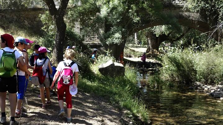campamentos_de_verano_en_jaen_las-nogueras-campamento-granja-aventura