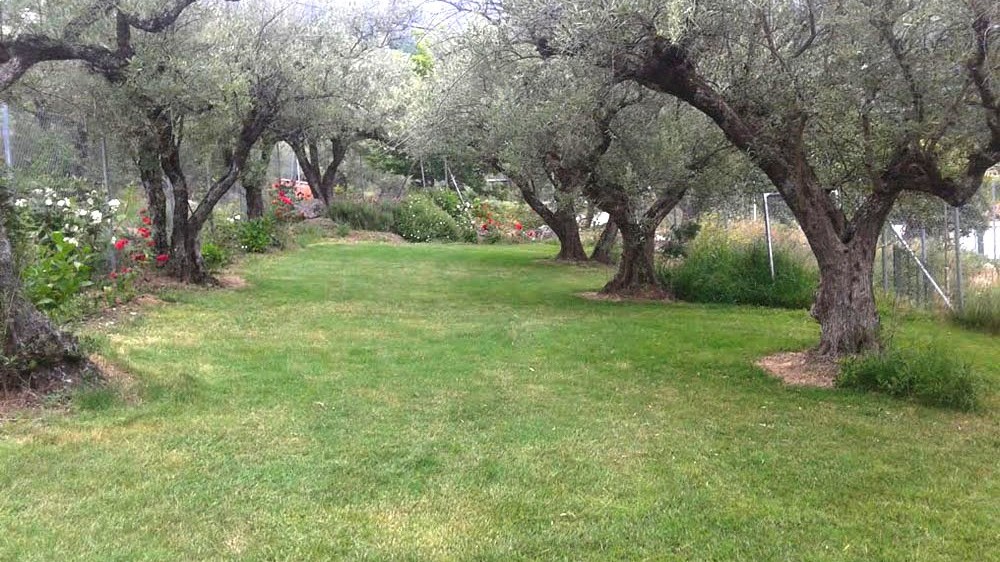 campamentos_de_verano_en_caceres_campamento-la-vera-verde