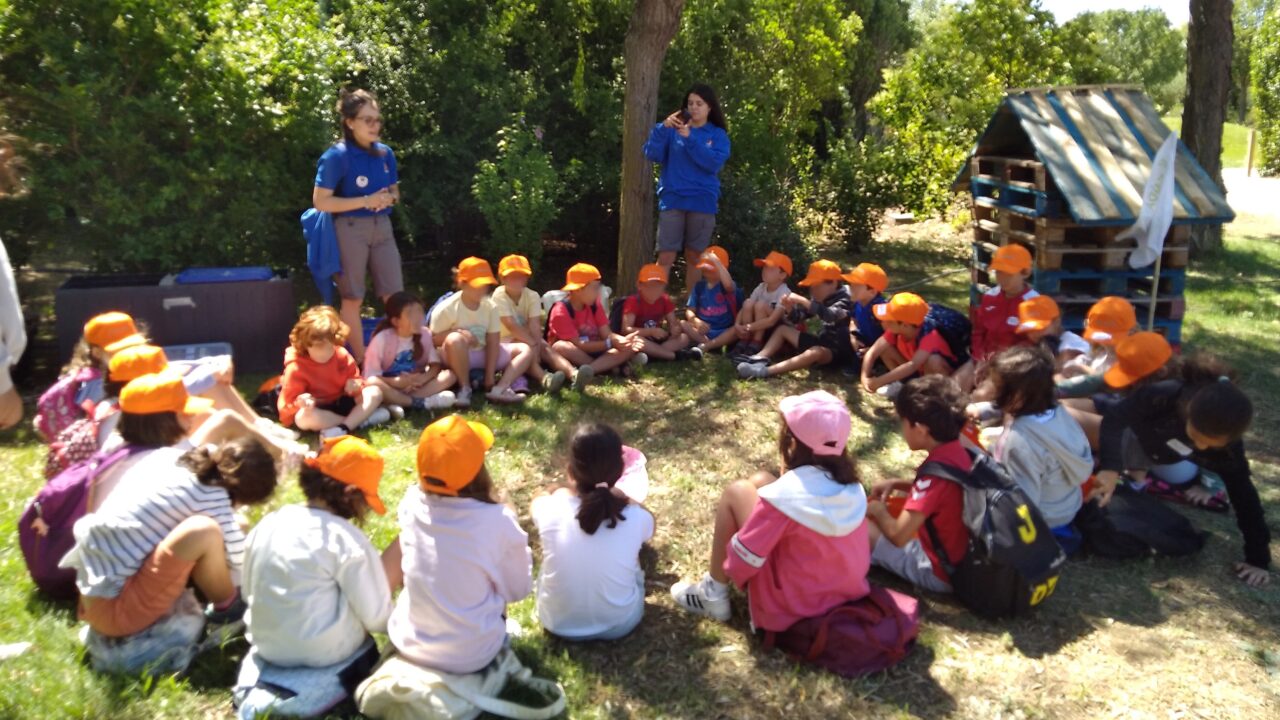 campamentos_de_verano_en_navarra_campamentos-de-verano-sendaviva-con-pernocta