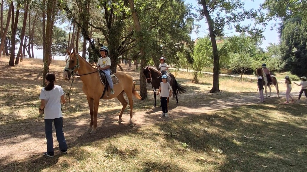 campamentos_de_verano_en_madrid_campus-atletico-de-madrid