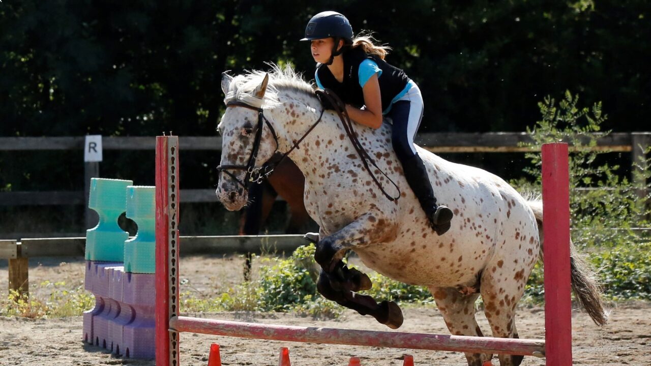 campamentos_de_verano_en_huesca_campamentos-internacionales-hipicos-en-ingles