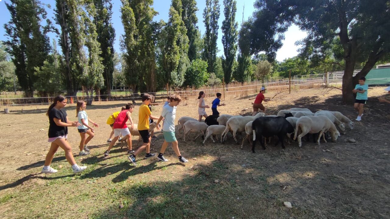 campamentos_de_verano_en_madrid_jarama-nature