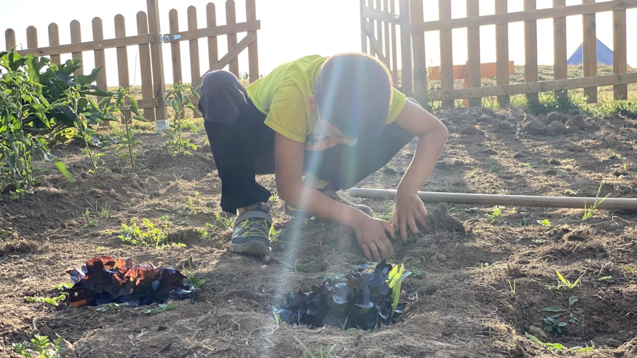 campamentos_de_verano_en_burgos_campamento-para-adolescentes
