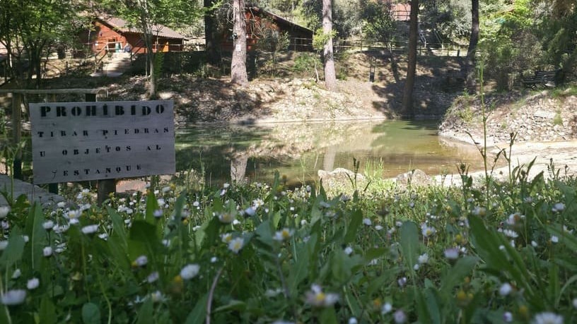 campamentos_de_verano_en_albacete_campamento-zancada-multiaventura-rio-mundo-2026