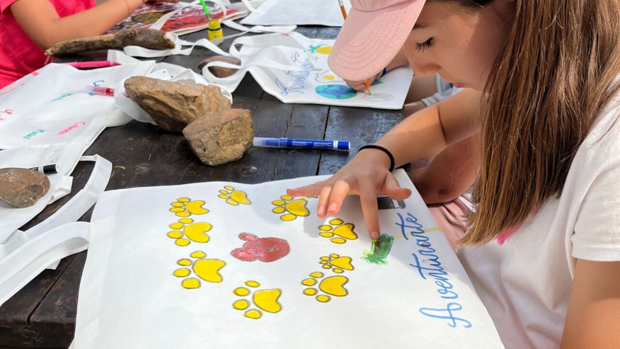 campamentos_de_verano_en_guadalajara_campamento-aventurarte