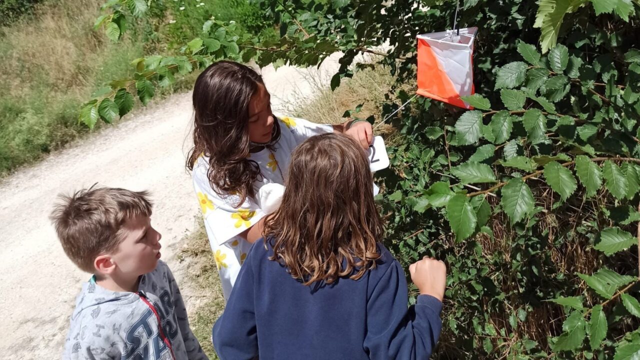 campamentos_de_verano_en_guadalajara_sierra-norte-multiaventura