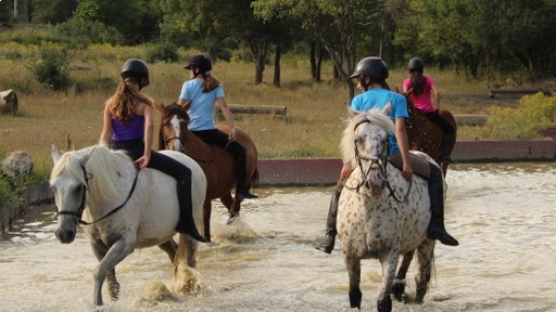 campamentos_de_verano_en_huesca_campamentos-hipicos-internacionales-con-frances