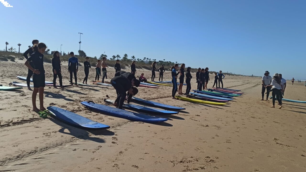 87d583d845d762829ba52d3615236e83