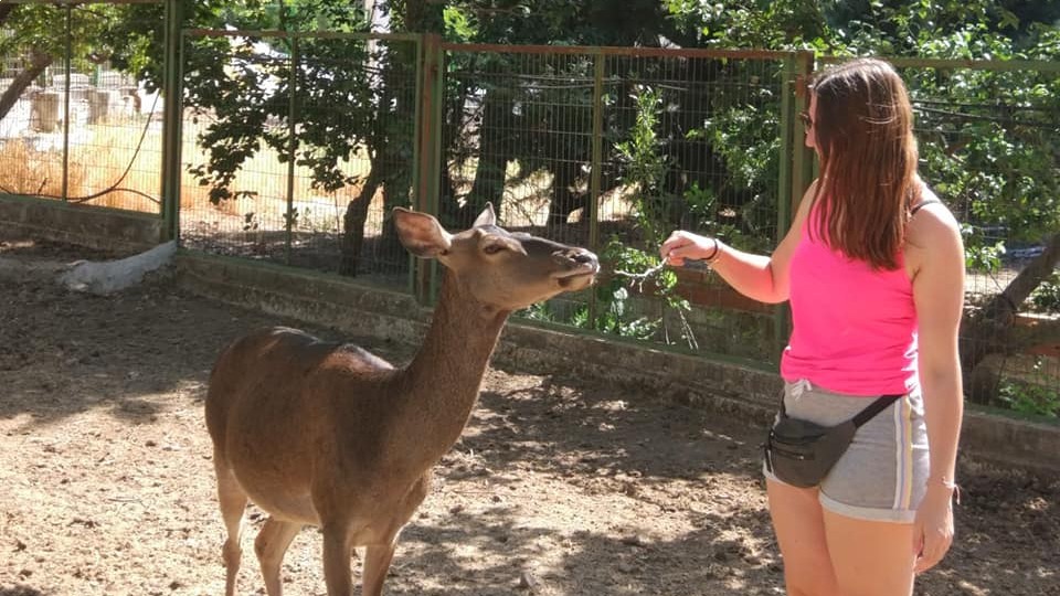 campamentos_de_verano_en_jaen_las-nogueras-campamento-granja-aventura