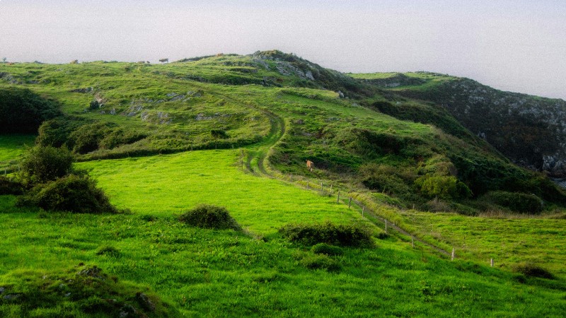 campamentos_de_verano_en_asturias_asturias-surf