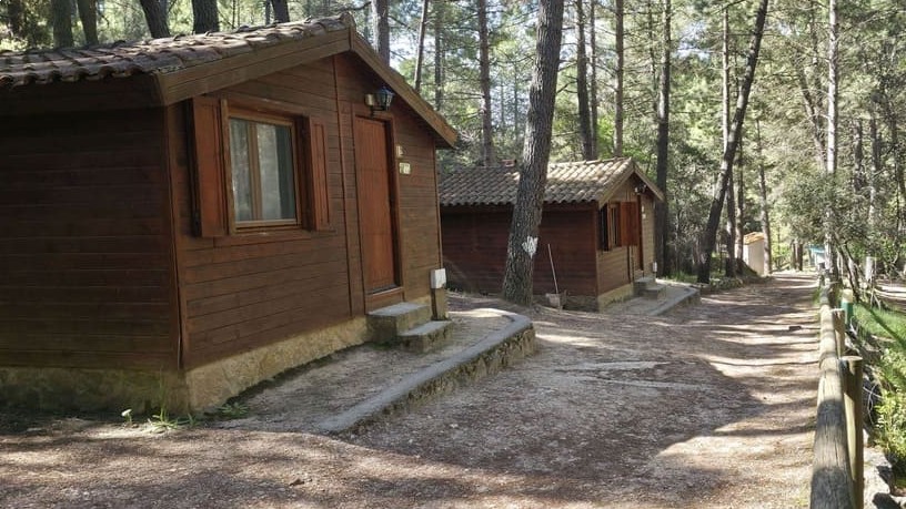 campamentos_de_verano_en_albacete_campamento-zancada-multiaventura-rio-mundo-2026