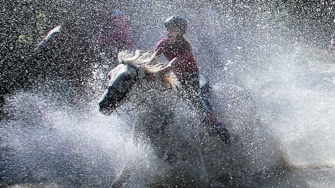 campamentos_de_verano_en_huesca_campamentos-hipicos-internacionales-con-frances