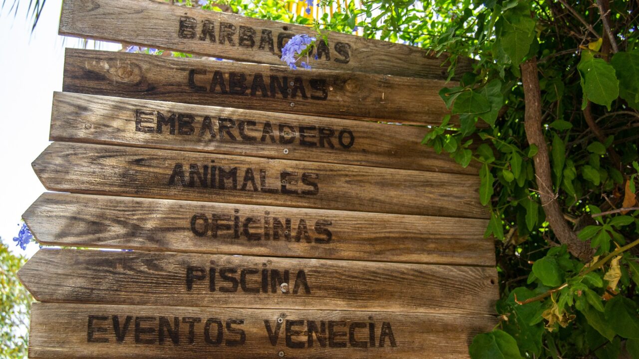 aeb0db1e7cc5db82f0ba80d5575551e9-16.jpg