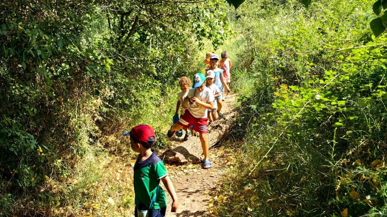 campamentos_de_verano_en_madrid_jarama-nature