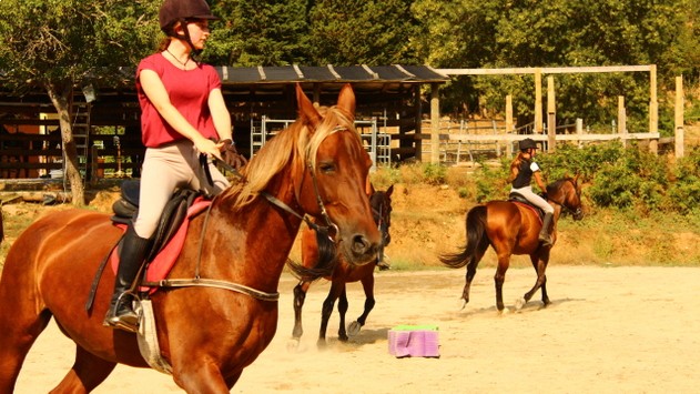 campamentos_de_verano_en_huesca_campamentos-hipicos-internacionales-con-frances