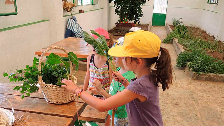 campamentos_de_verano_en_jaen_las-nogueras-campamento-granja-aventura