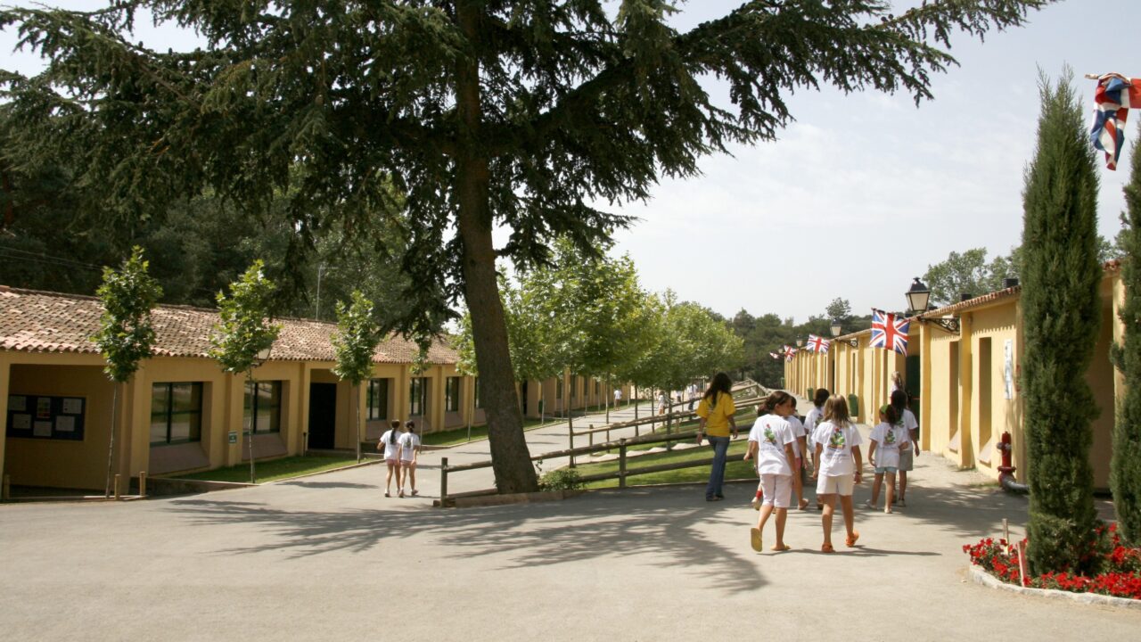 ce380be535c8f3af6eeeaeeccd531de5