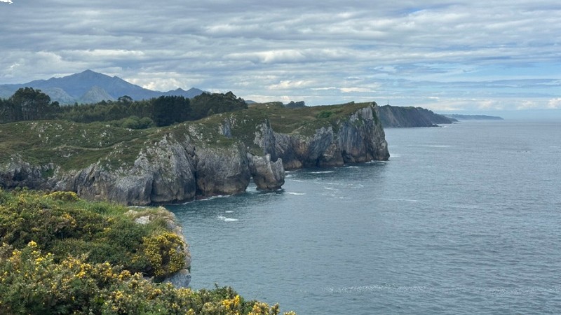 campamentos_de_verano_en_asturias_asturias-surf