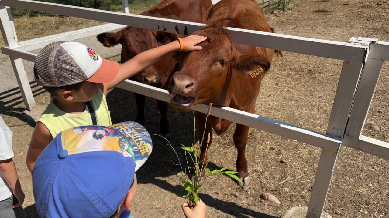 campamentos_de_verano_en_madrid_jarama-nature