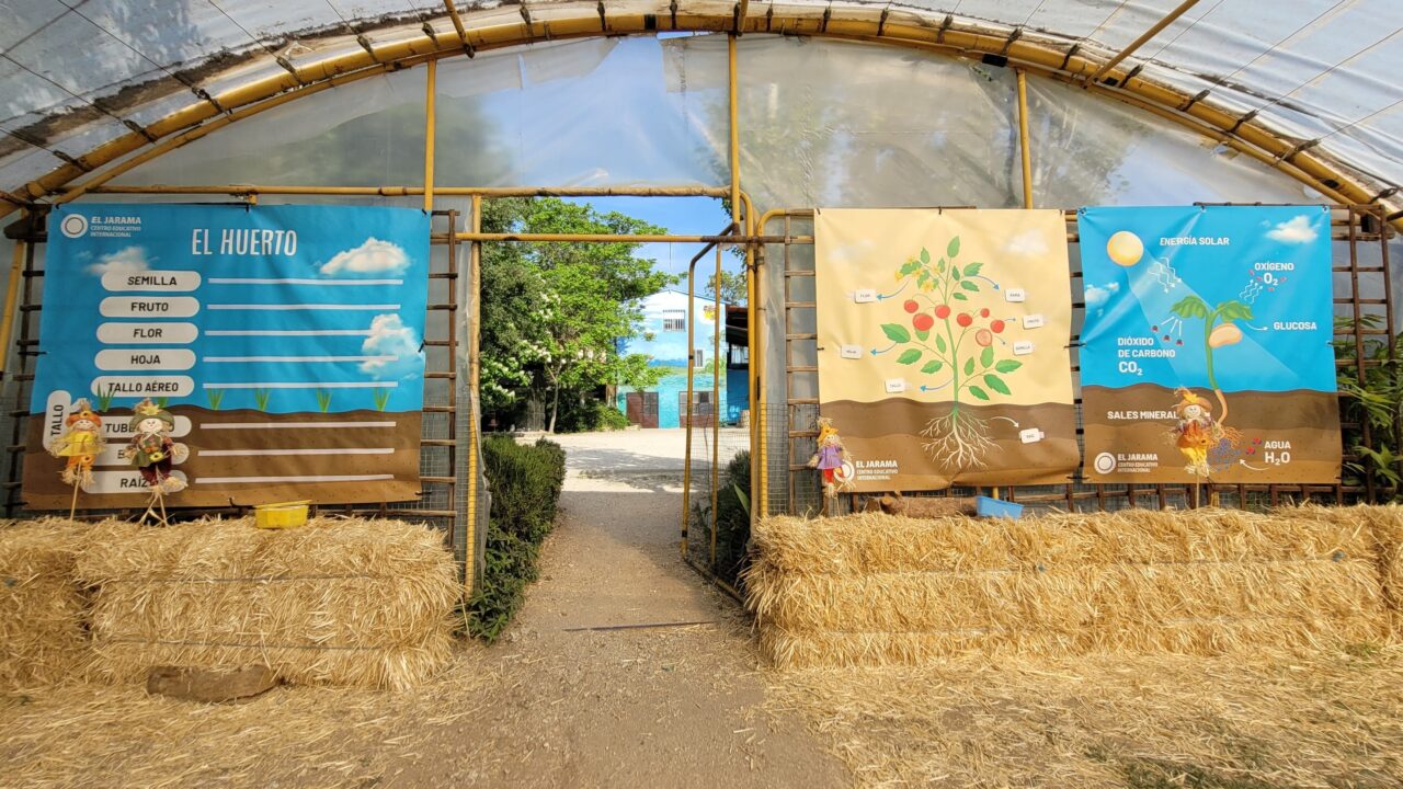 campamentos_de_verano_en_madrid_campus-atletico-de-madrid