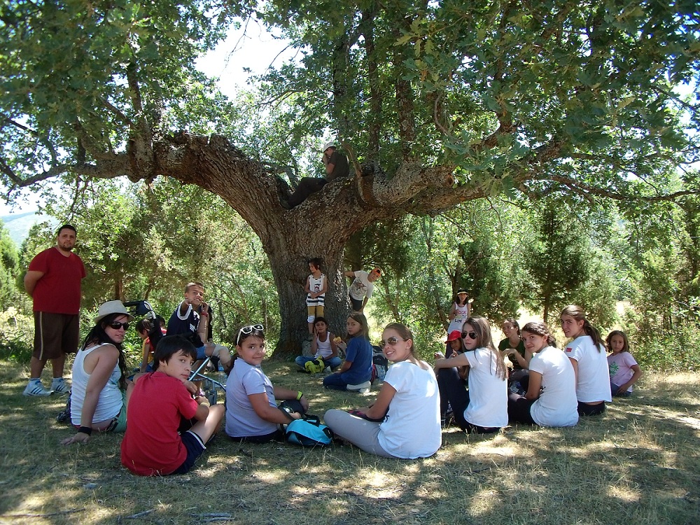 campamentos_de_verano_en_segovia_campamento-montana-la-data-sierra-de-guadarrama