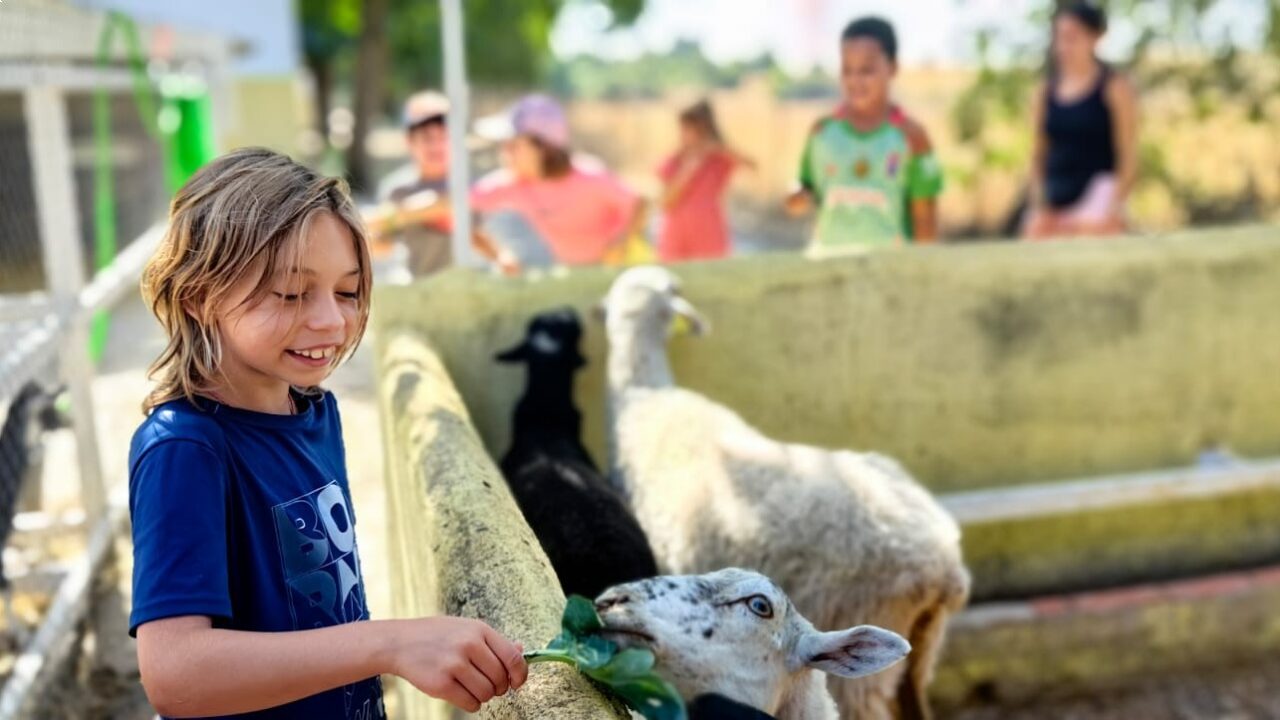 campamentos_de_verano_en_madrid_jarama-nature
