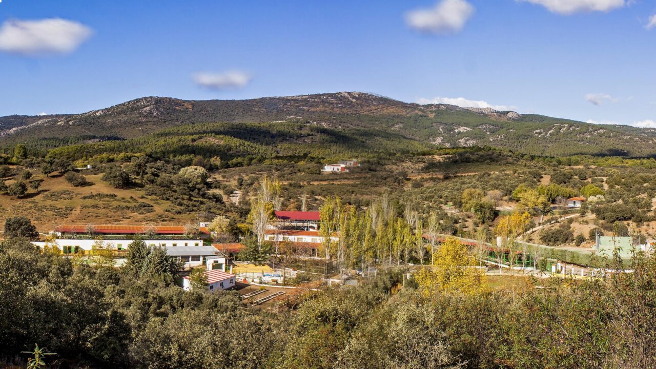 campamentos_de_verano_en_jaen_las-nogueras-campamento-granja-aventura