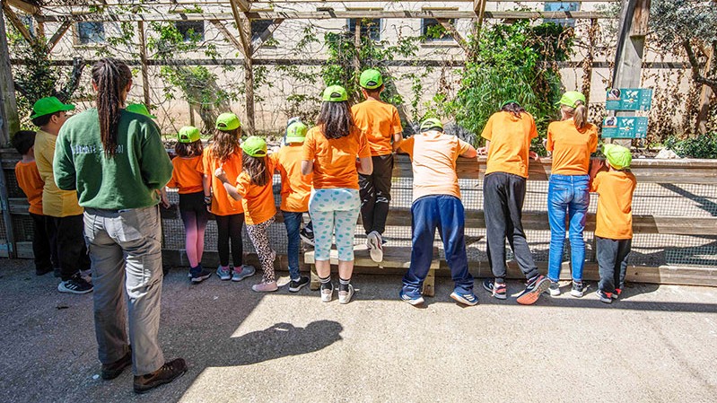 campamentos_de_verano_en_navarra_campamentos-de-verano-sendaviva-con-pernocta