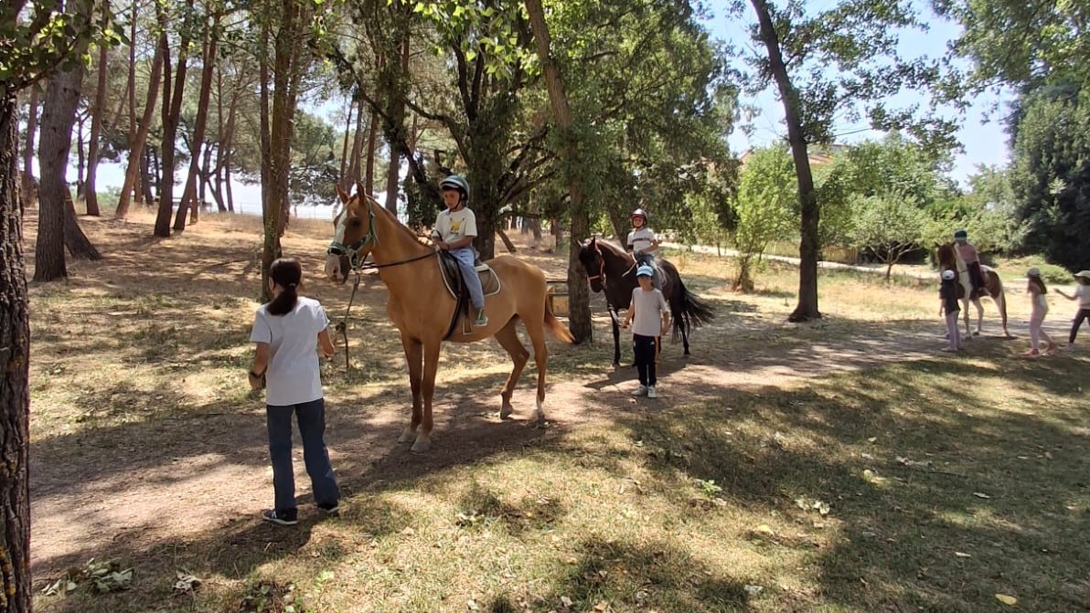 campamentos_de_verano_en_madrid_campus-atletico-de-madrid